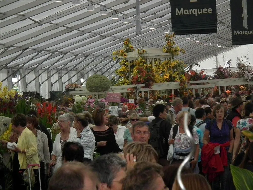 Floral marquee part ii 6